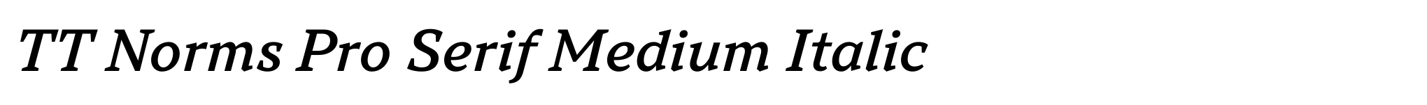 TT Norms Pro Serif Medium Italic image